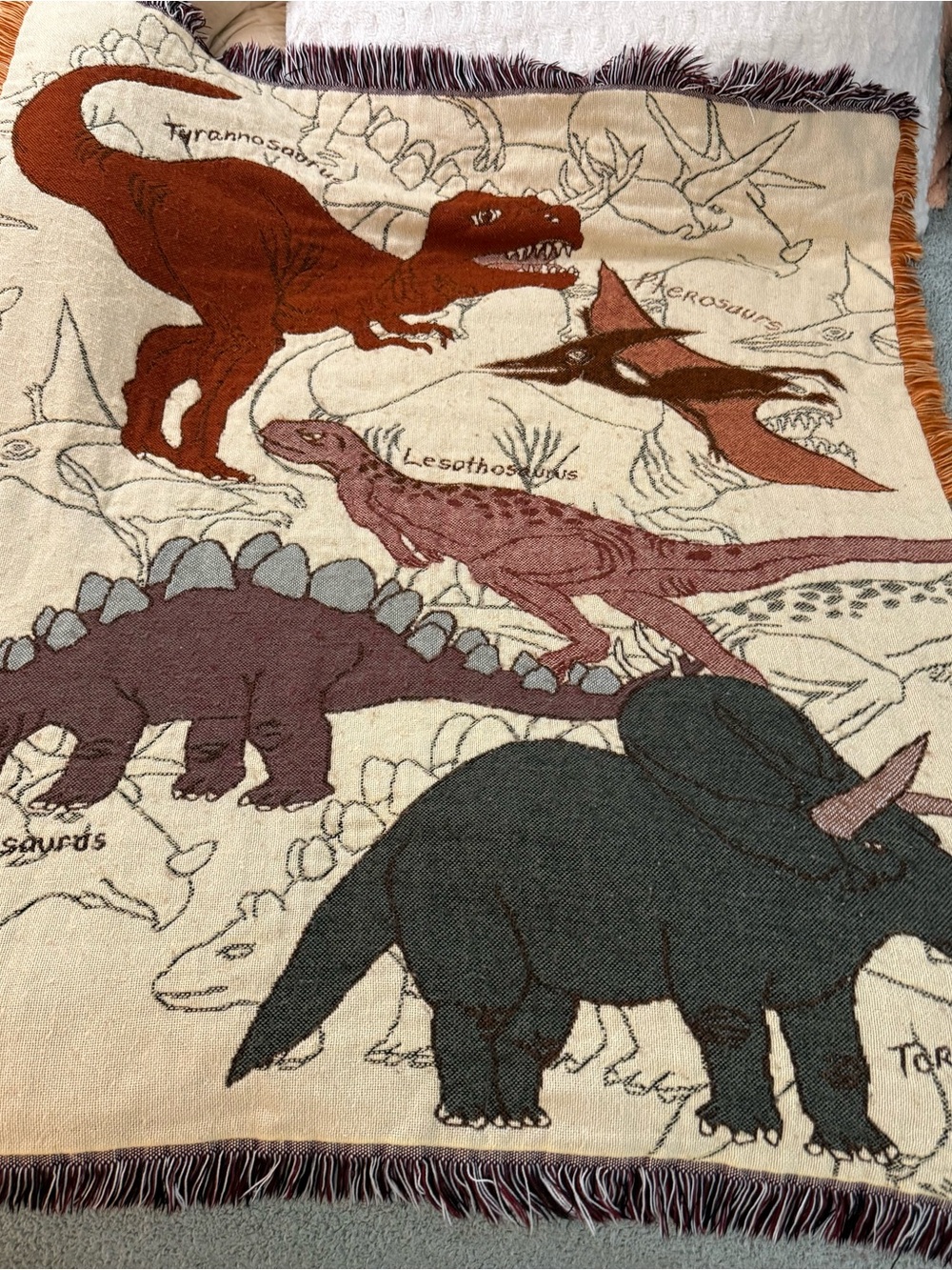 Dinosaur Woven Tapestry Throw W/ Fringe 59”
